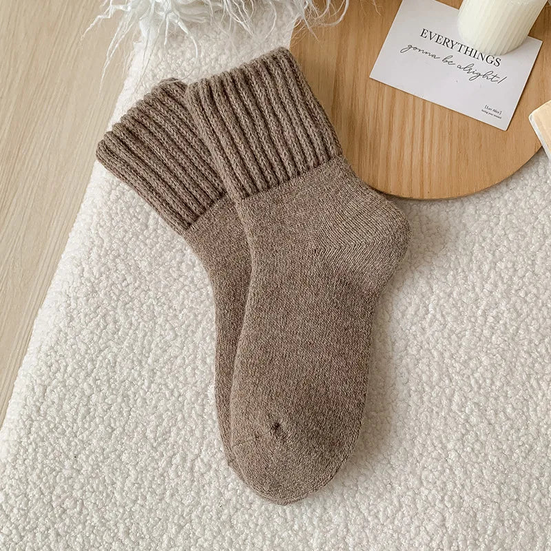 SP&CITY Winter Thickened Wool Socks Women’S Breathable Comfortable Plush Low Tube Snow Socks Korean Simple Warm Cashmere Socks